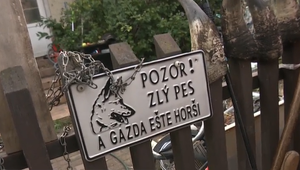 Posun v prípade psov, ktoré napadli matku s dieťaťom. Majiteľ prišiel o niečo iné