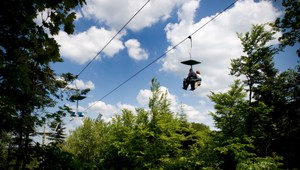 REBRÍČEK: Bratislava je na popredných priečkach najzelenších miest na svete