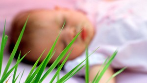 Dieťa (3.mes) utýrali na smrť. Aby zakryli stopy, ohrievali ho