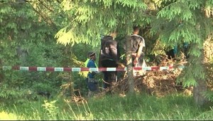 Otrasná vražda Marianny: Milenec ju ubil v lese kameňom