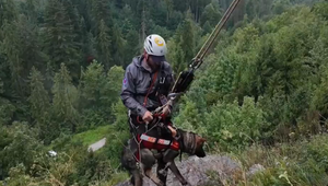 Psov spúšťajú lanami zo skál: Psy horských záchranárov trénujú v rôznych podmiekach