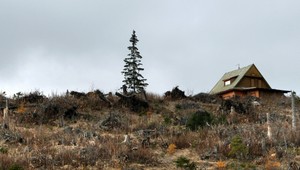 8 ROKOV PO. Tatry zmenila ničivá smršť na nepoznanie