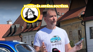 Fico s Matovičom nemôžu za všetko, zodpovedajú iba za zlyhanie štátu