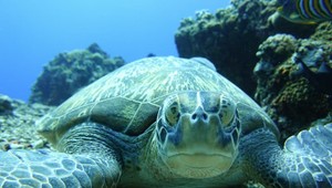 FOTO: Indonézia očami Slovenky. Chudoba a krása v jednom