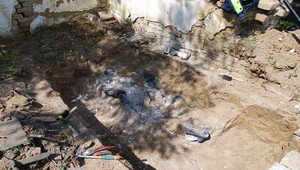 Vražda bieleho koňa: jeho kosti vykopali po 5 rokoch!