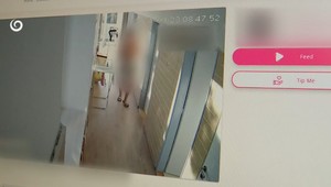 Zhrození bývalí študenti športovej akadémie. Zábery z internátu našli na platenej pornostránke