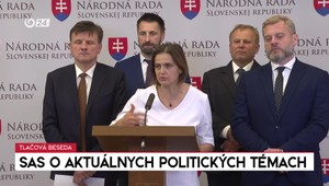 Tlačová beseda SaS po schválení štátneho rozpočtu