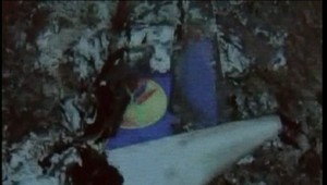 Stratené lietadlo našli, nikto z posádky neprežil