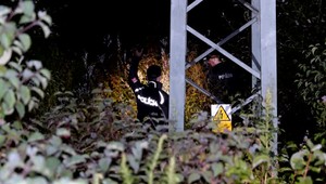 Po útoku diviakov sa žena mala stratiť v kroví. Nenašiel ju ani policajný pes