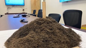 TAKTO vyzerá milión mŕtvych komárov!