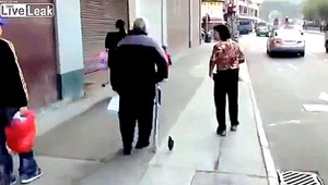 Dôchodca zobral na prechádzku vtáka