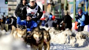 Doping už dávno nie je len pre ľudí. Najnovší škandál odhalil doping u psov