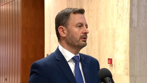 Prosba Hegera na SaS nezapôsobila: Postav sa pred zrkadlo a spytuj si svedomie, odkazuje Sulíkova poslankyňa