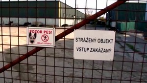 Zamestnanec zomrel na infarkt, pustili sa do neho psy