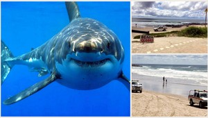 Žralok napadol surfistu (†41), odryzol mu obe nohy