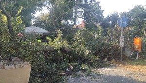 Nešťastie v Karlových Varoch: Na stánky padol strom, na mieste boli zranení