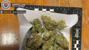 Vedeli ste, že môžete byť alergickí na marihuanu?