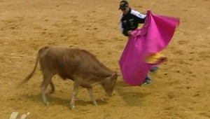 Rossiho a ďalších motorkárov naháňali býci v koride