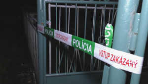 Po hádke bodol starší brat mladšieho nožom do hrudníka. Dostal deväť rokov za mrežami