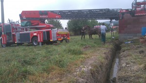 Hasiči vyťahovali v Limbachu koňa zo stavebnej jamy