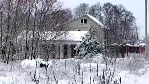 Štáb TV JOJ na Ukrajine: Rodina prežila pokus o obsadenie mesta. Najviac dní boli v studenej pivnici