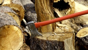 Hoci starosta Nálepkova sľúbil za hlasy drevo, o korupciu nejde