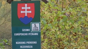 Odštartoval jedinečný projekt. Vybudujeme protipovodňovú ochranu i ostrovy na záchranu živočíchov