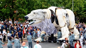 VIDEO. Medvedík v uliciach Londýna chytá za srdcia