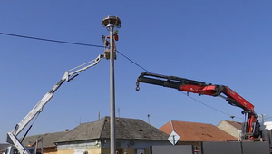 Unikátne hniezdo bocianov preložili na nový stĺp kvôli bezpečnosti