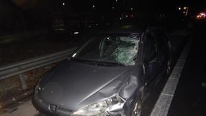 Tragická zrážka na R1: Nočná nehoda sa stala osudnou pre dvoch chodcov