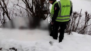 Hrozivý nález na koľajniciach. Partia chlapcov tu našla ležať srnca bez hlavy