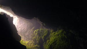 Nelegálna kafiléria? V jaskyni našli uhynuté hospodárske zvieratá