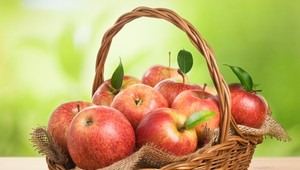 Pestovanie jabĺk je podľa ovocinárov umenie. Prezradili zaručené recepty na úspech