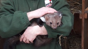 Nie je vandal ako vandal: Zničené kvetináče títo asi nepreplatia