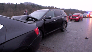 FOTO: Cez vozovku plnú vozidiel sa prehnalo stádo jeleníc. Traja vodiči šťastie nemali