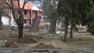 Pri obnove parku v Humennom vyrúbali bez povolenia stromy za tisícky eur