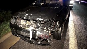 Auto zrazilo 140-kilového medveďa: Nehôd s divou zverou stále pribúda