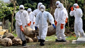 V Taliansku vypukla epidémia vtáčej chrípky