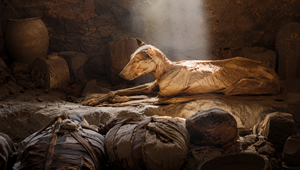 Archeológovia objavili v egyptskej hrobke šestnásť múmií a psa