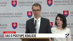 Tlačová beseda strany SaS o postupe koalície