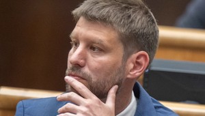 Šimečka: Ak sa ukáže, že v dotáciách je účtovný problém, mama to zaplatí