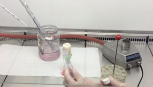 Príde na jeseň druhá vlna koronavírusu? Takýto je názor odborníkov