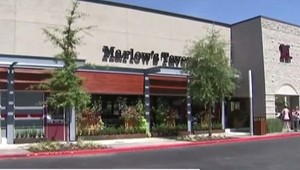 Výtržníctvo zverejnili na videu. Nedošlo im, že je to priznanie