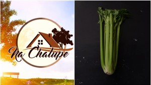 Zeler a pór v jednom hrnci môže prekvapiť chuťou: Túto polievku si u vás doma zamilujete!