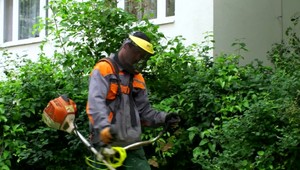 Muž, ktorý strieľal po koscoch sa na súde priznal a svoj čin oľutoval, sudcu to neobmäkčilo