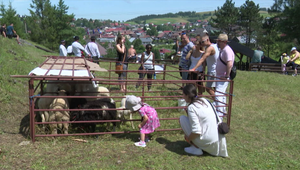 Zvyky a tradície slovenských bačov: Oravská dedina privítala milovníkov ovčiarstva