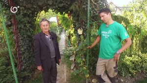 Přinášíme vám ty nejlepší typy, které vám pomohou udělat z vaší záhrady kus ráje!