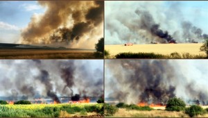 Požiar poľa pri Lučenci. Zhorela nepozbieraná úroda