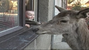 Elza nám bude chýbať, tvrdia Ružomberčania