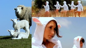 Len pre silnejšie povahy: Mydlenie barana má paródiu